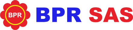 logo bpr sas